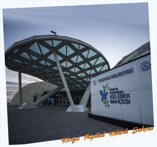 KONYA TROPİKAL KELEBEK BAHÇESİ